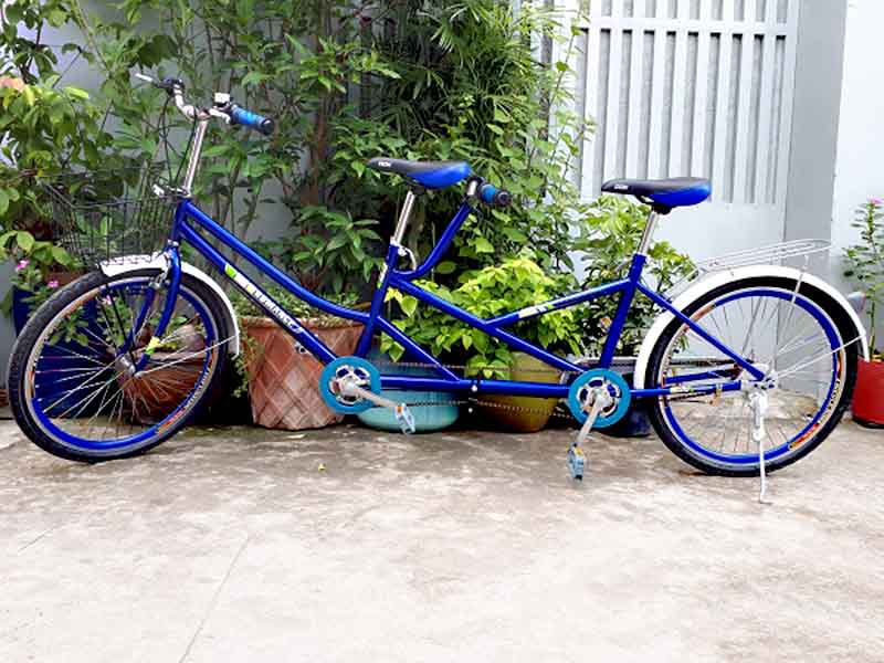 Xe đạp đôi người lớn